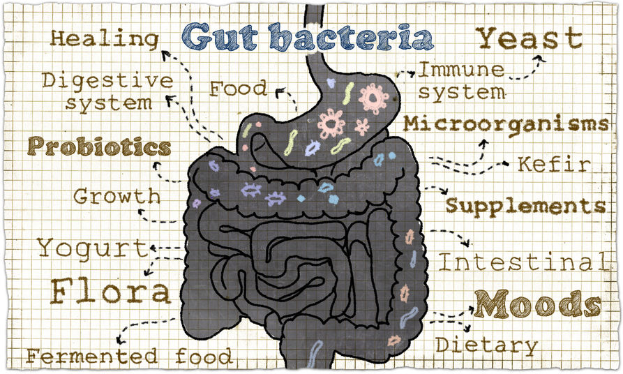 5 Ways to Restore Gut Health Naturally